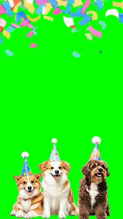 Happy Birthdays