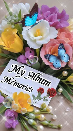 My Album Memories 