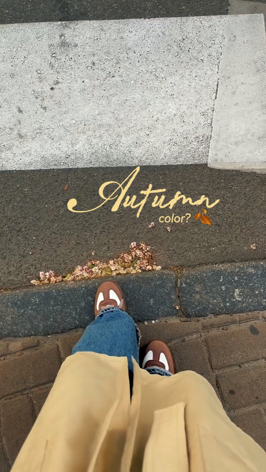 autumn color