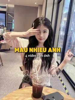 4 video + 16 ảnh 