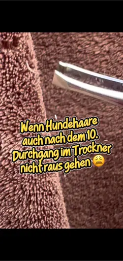Hundehaare entfernen