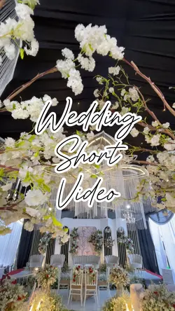 Wedding short video
