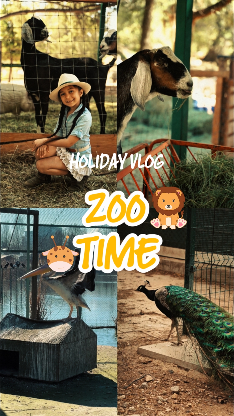 Vlog de tiempo de zoológico
