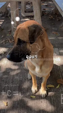 อุอะอิอิ๊