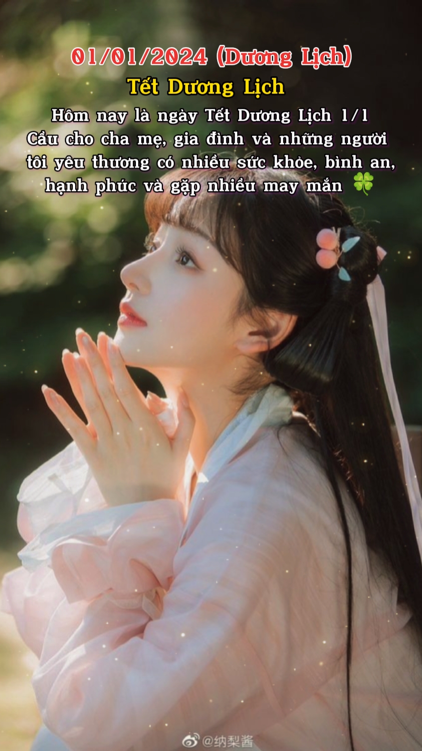 Tết Dương Lịch 