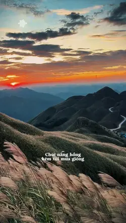 Chút nắng hồng kèm