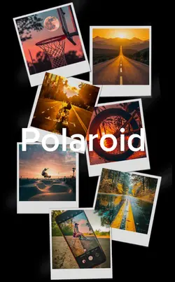 Polaroid New