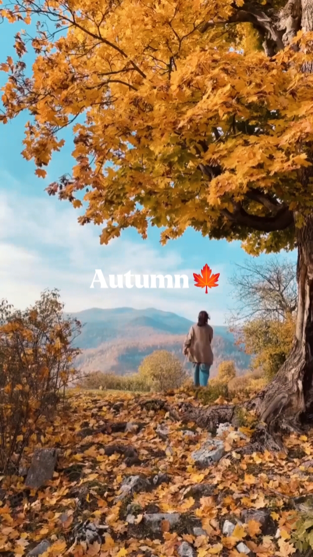 AUTUMN