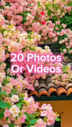20 Video Slides