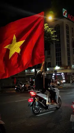 Việt Nam 🇻🇳