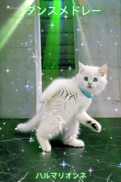 中国ダンスメドレーテンプレート