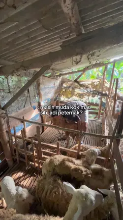 masih muda kok mau