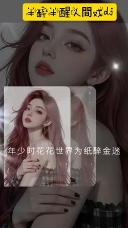 半醉半醒人間戏dj