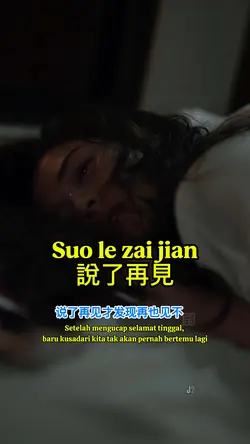 說了再見 Suo le zai jian