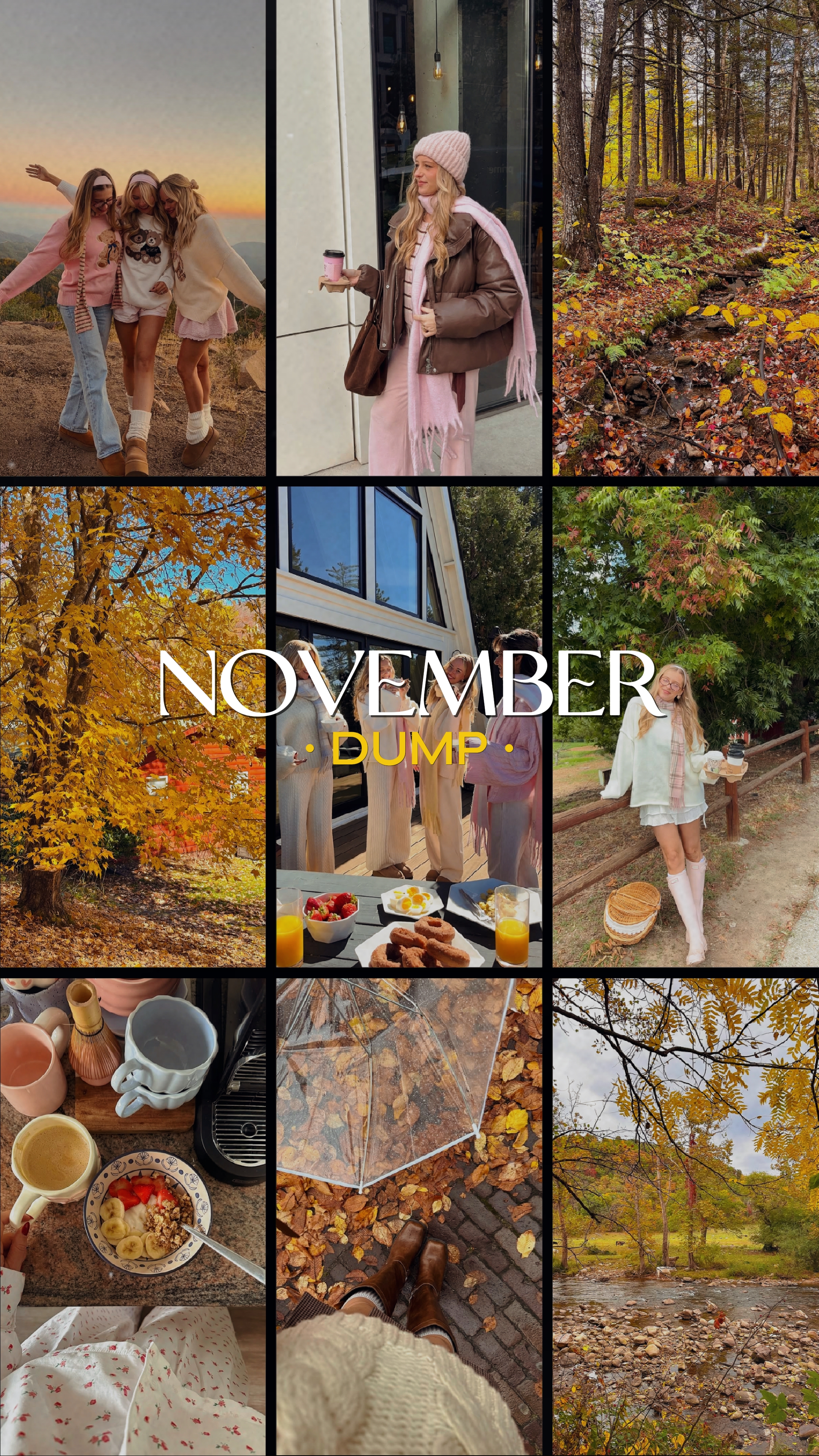 NOVEMBER DUMP