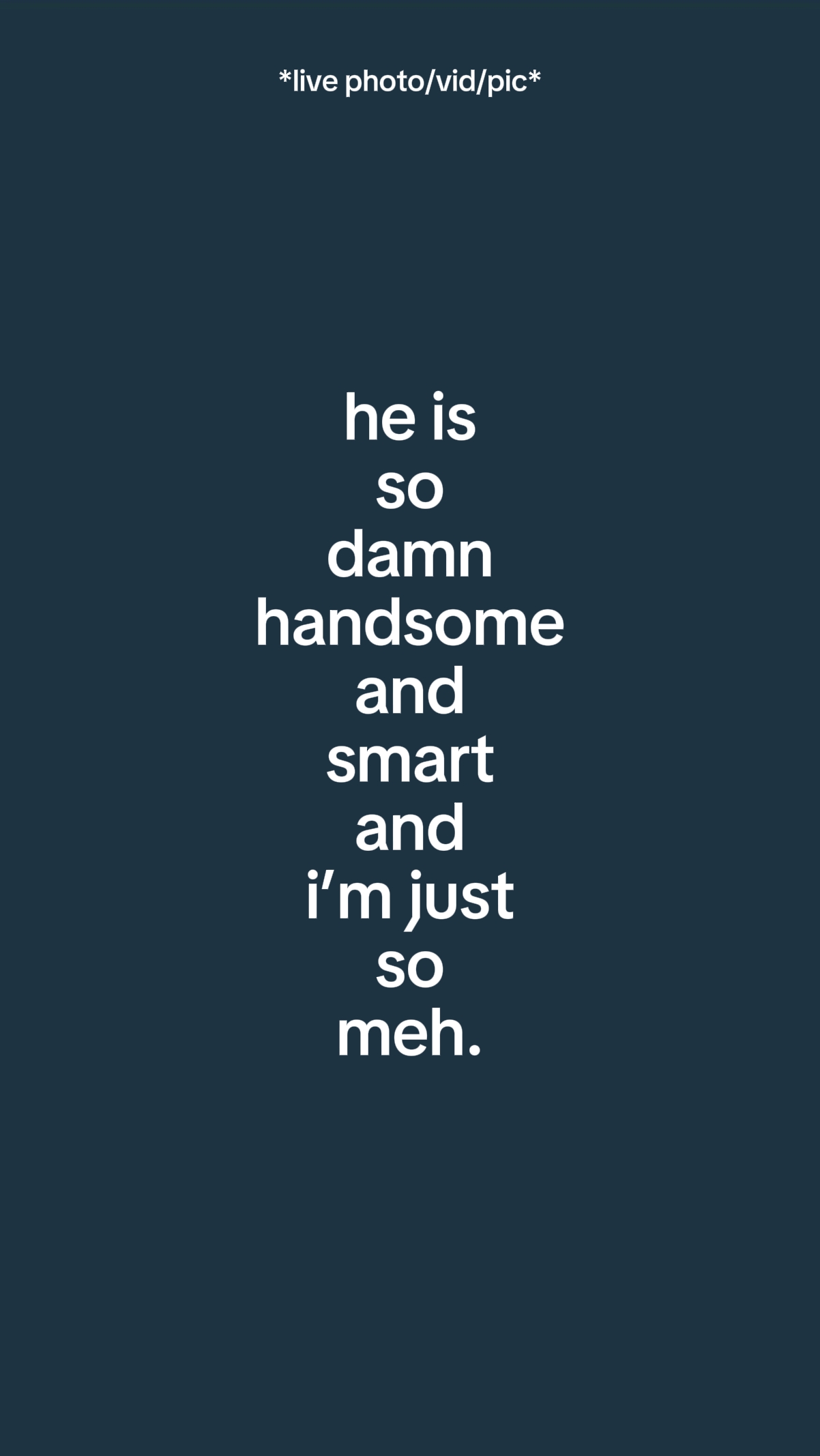 Heissodamnhandsomean