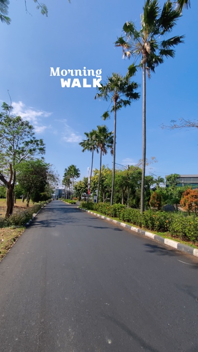 Paseo matutino