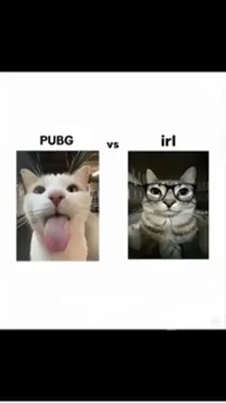 trend?