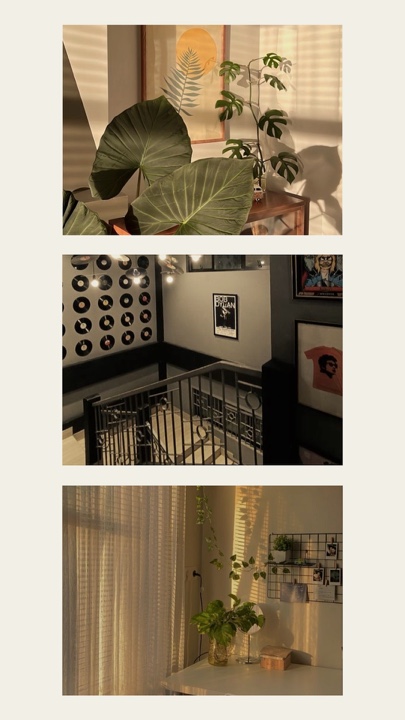 IMAGEN DE COLLAGE