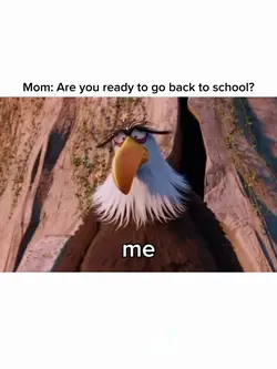 NO