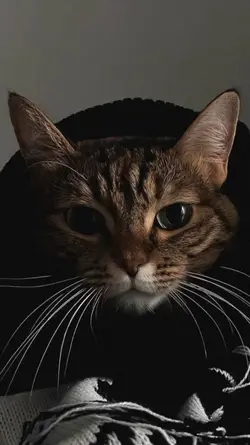 Trend lompat jet jet