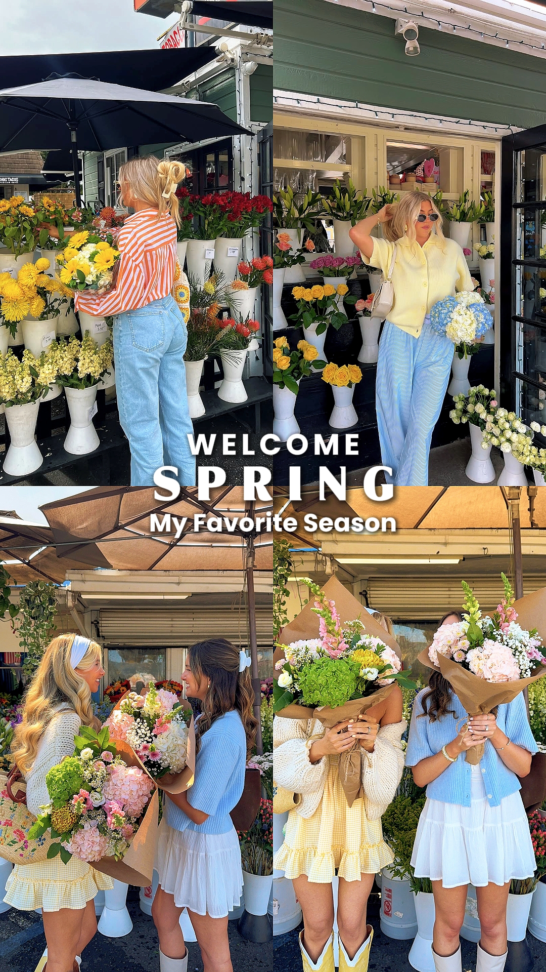Willkommen im Frühling