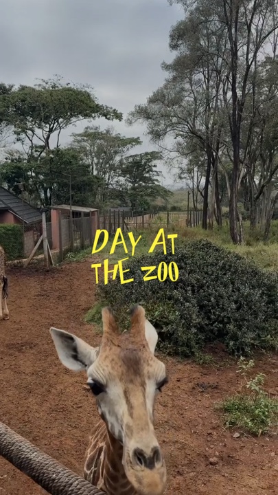 Tag im Zoo