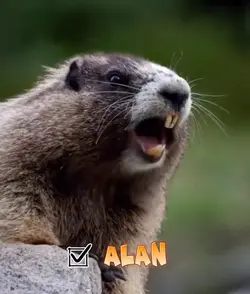 ALAN