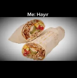 Tavuk Döner edit 