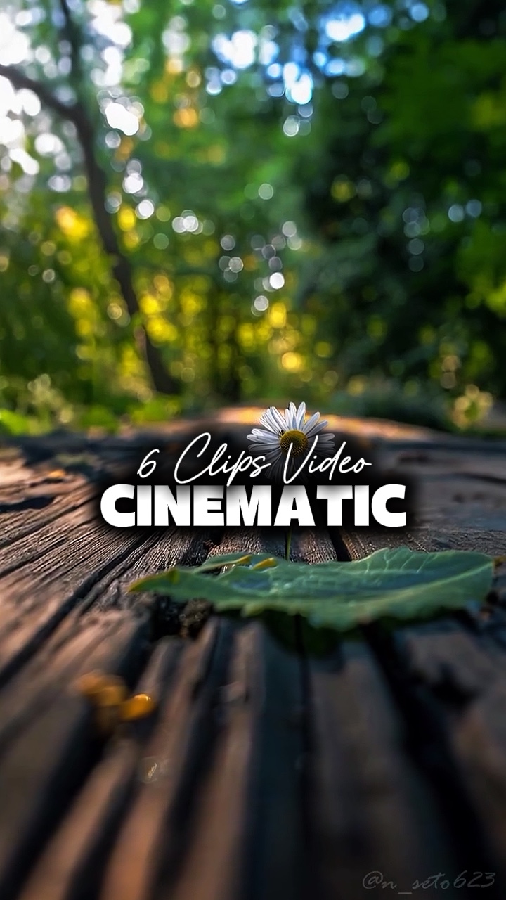 6 Clips Video 