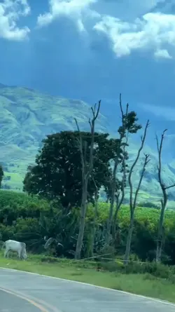 roadtrip