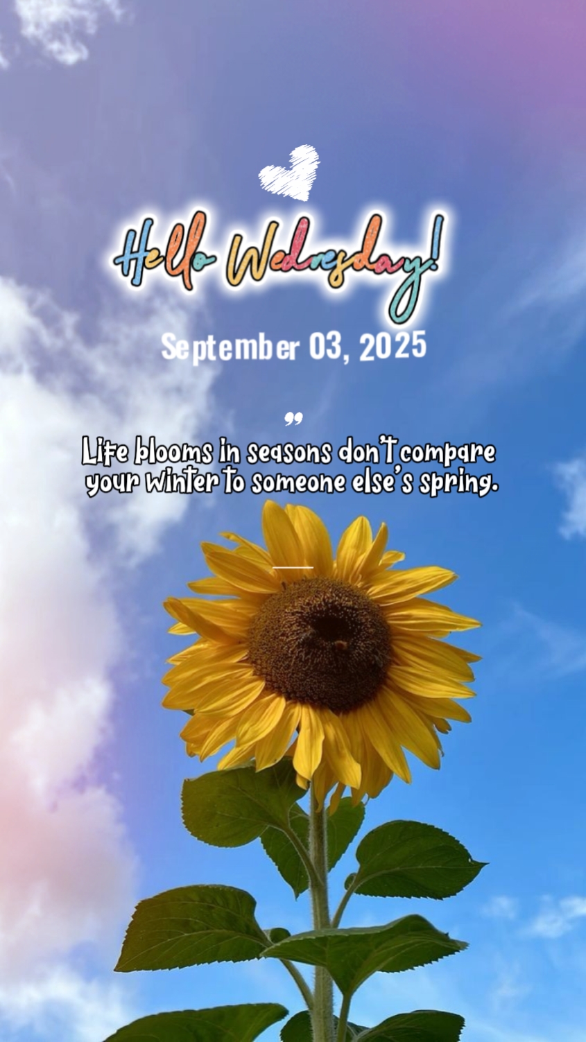 September 3, 2025
