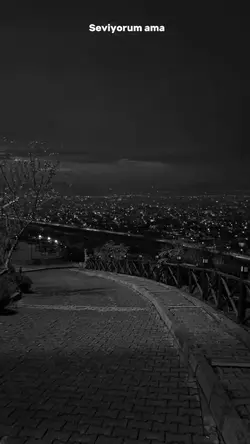 Seviyorum ama...