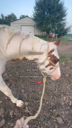 I’ll look after you❤️