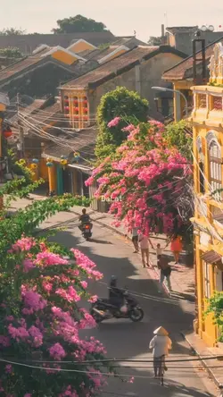 24 ảnh du lịch🐾