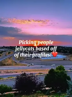 Picking Jellycats!