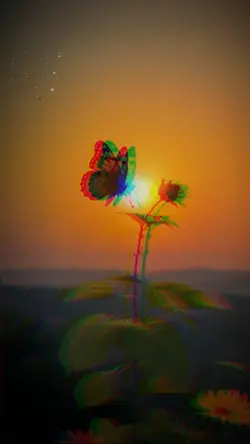 suab nkauj kho siab 