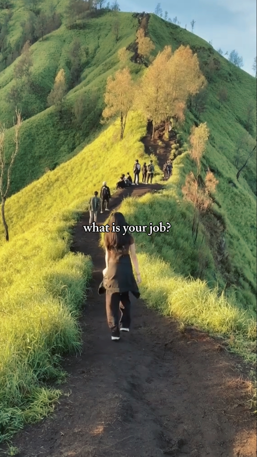 ¿Cuál es tu trabajo?
