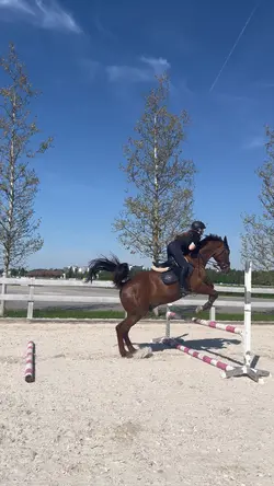 Horse slow motion 🐎💗