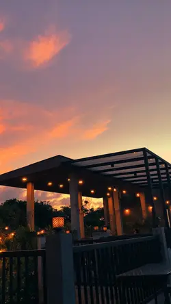 filter senja