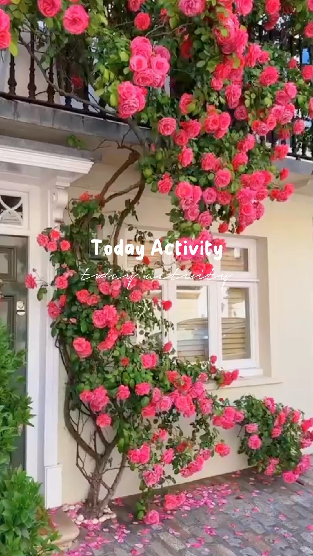 Atividade de hoje 