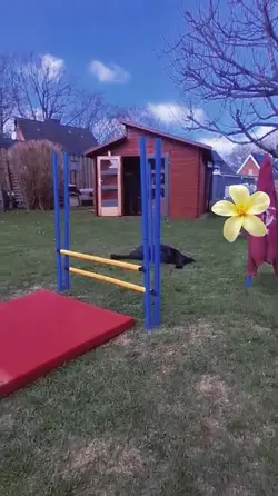 slowmo