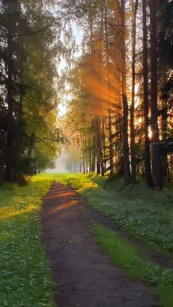 Nature