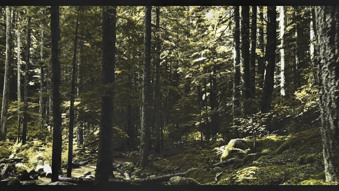 Quietude