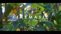 Cinematic Nature aes