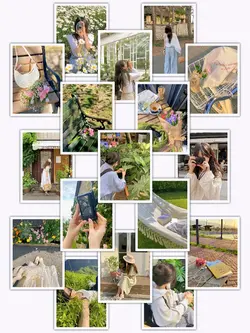 17PicFrame Aesthetic