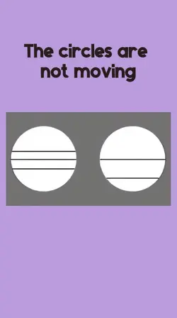 OPTICAL ILLUSION