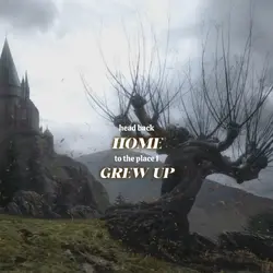 the place i grew up
