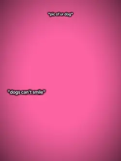 Dog can't smile 