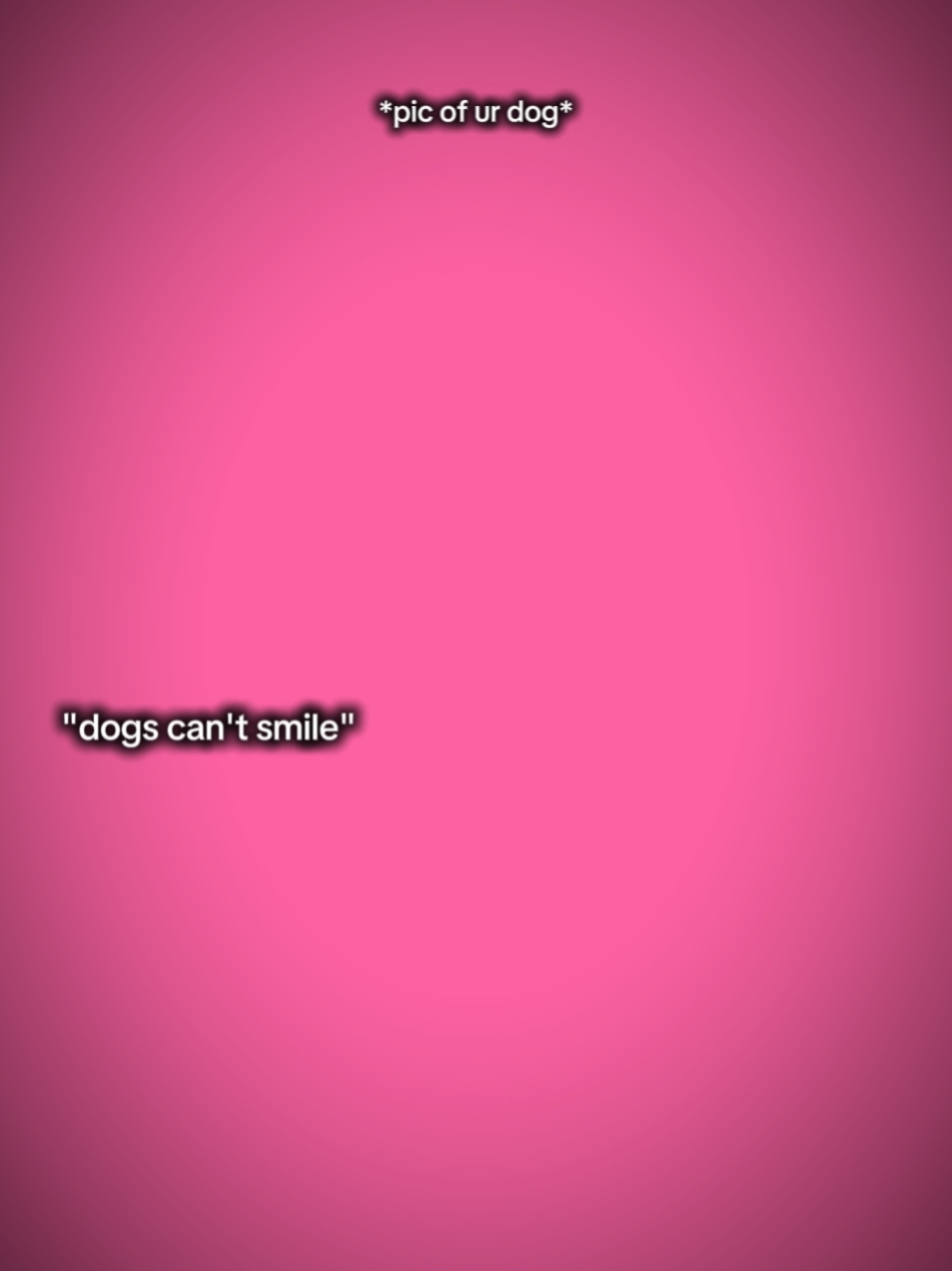 Dog can't smile 